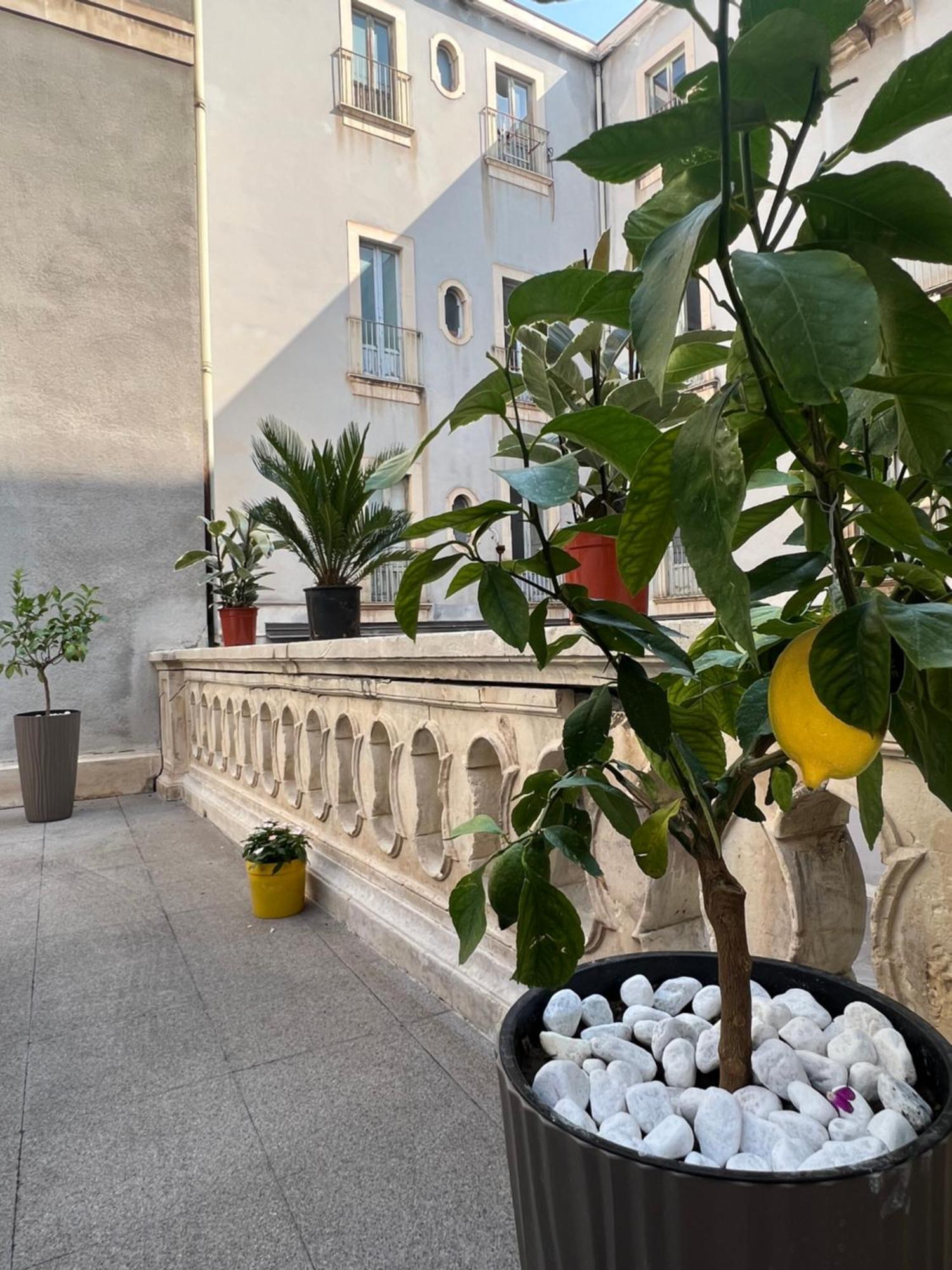 San Giuliano Palace Catane Extérieur photo